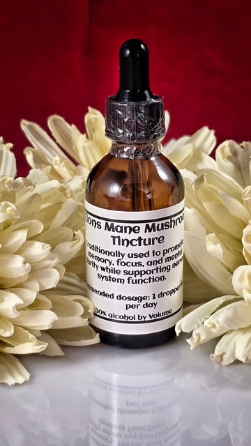 Lions Mane Tincture